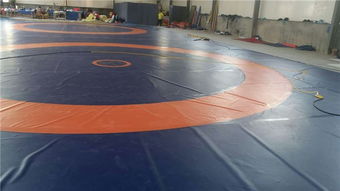 標(biāo)準(zhǔn)比賽摔跤墊子 活力體育現(xiàn)貨 中國(guó)式標(biāo)準(zhǔn)比賽摔跤墊子