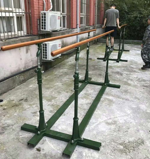 雙杠訓(xùn)練方法與市場(chǎng)行情淺析