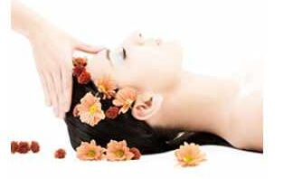 黛詩菲爾 以專業匠心，開啟您的美麗財富與健康生活新篇章